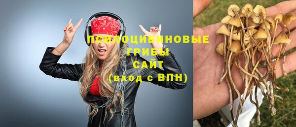 первитин Верхний Тагил