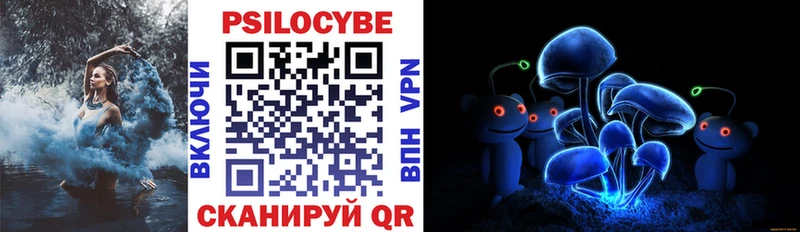 Псилоцибиновые грибы мицелий  где можно купить   Южа 